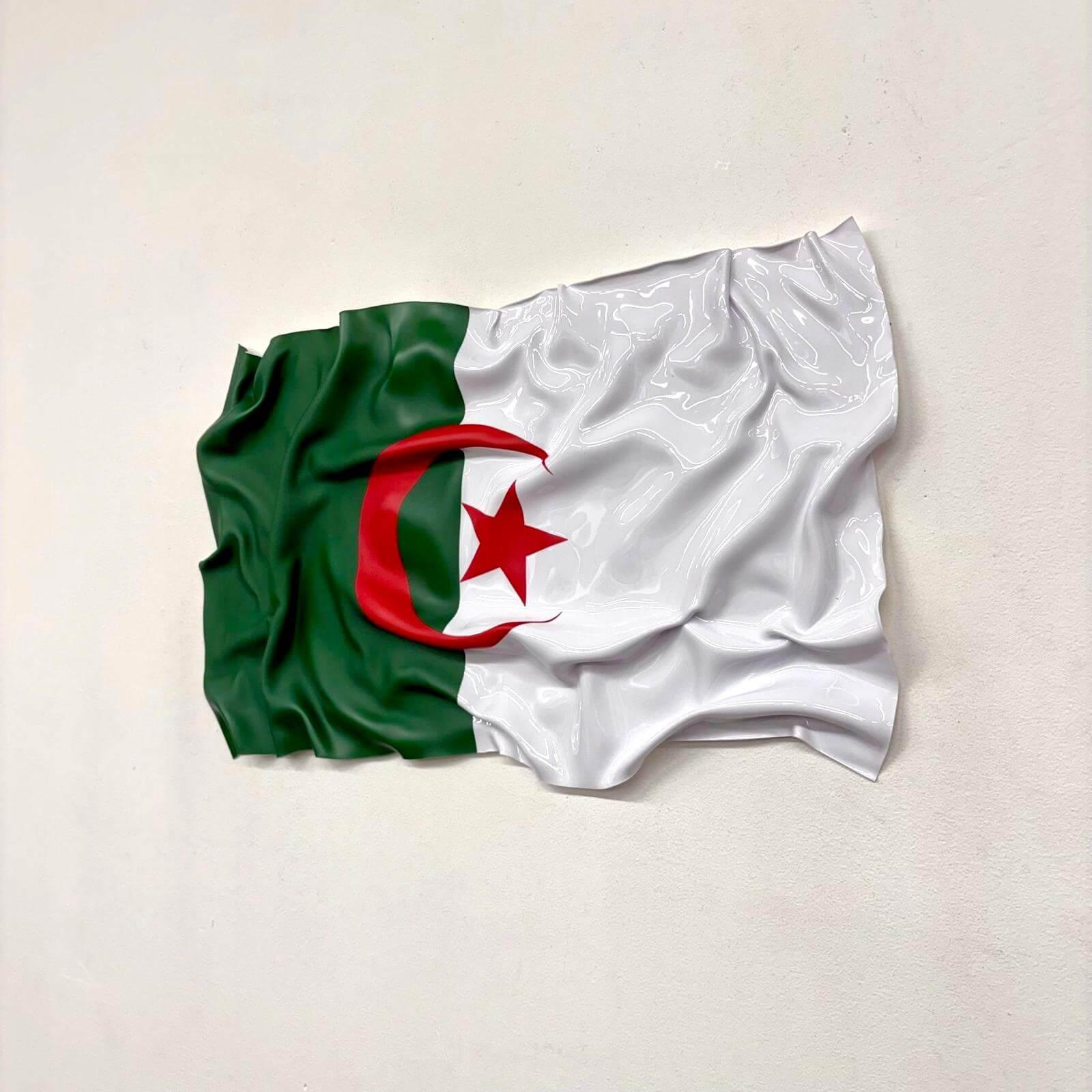 Tableau Déco Drapeau Algérien – Tableau froissé