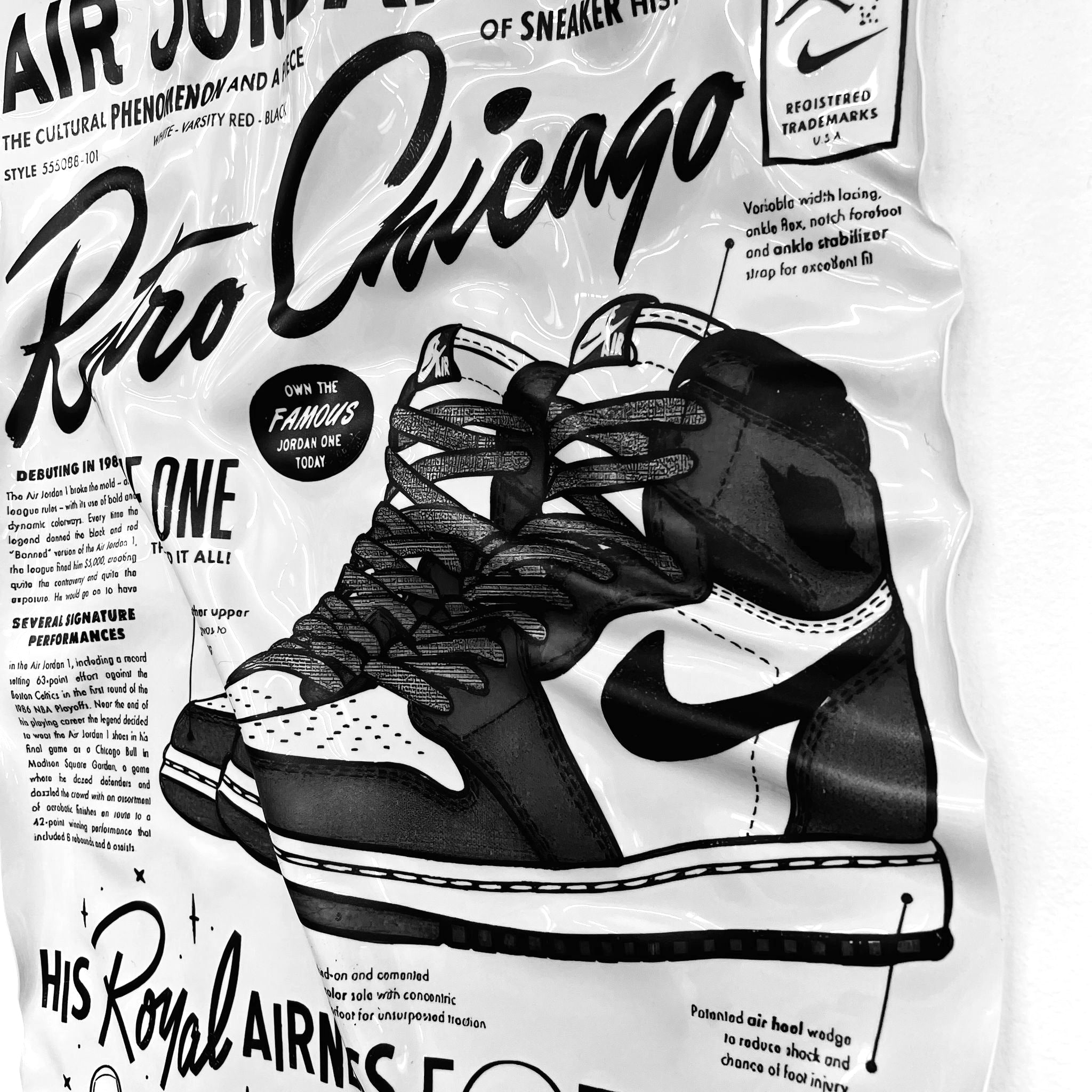 Tableau froissé - Air Jordan One - Luxartis