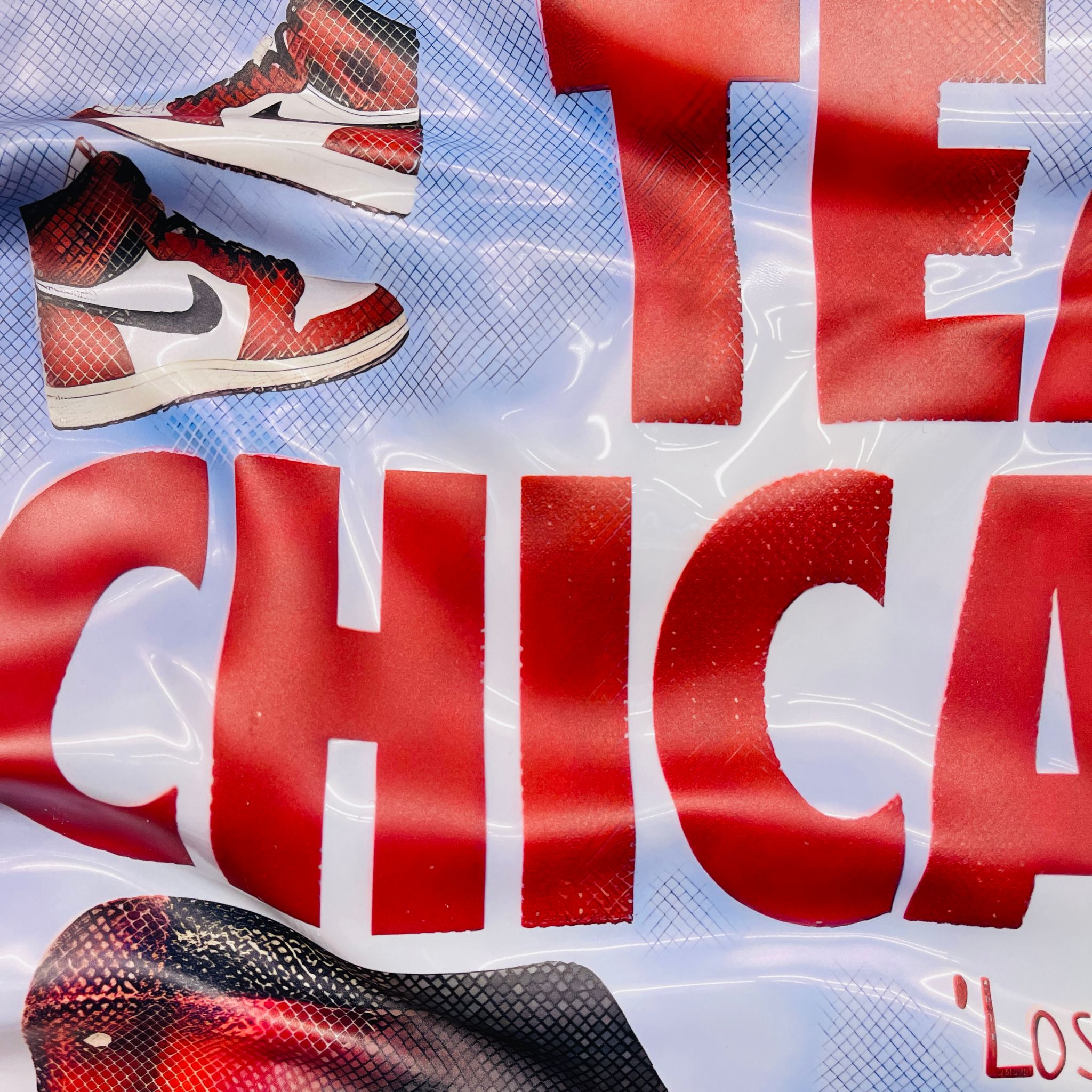 Tableau froissé - Air Jordan "Team Chicago" - Luxartis