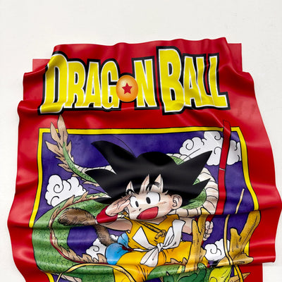 Tableau Déco Dragon Ball "Volume 1" - Tableau froissé