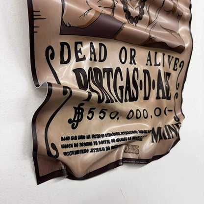 Tableau froissé – Affiche One Piece "Portgas D. Ace"
