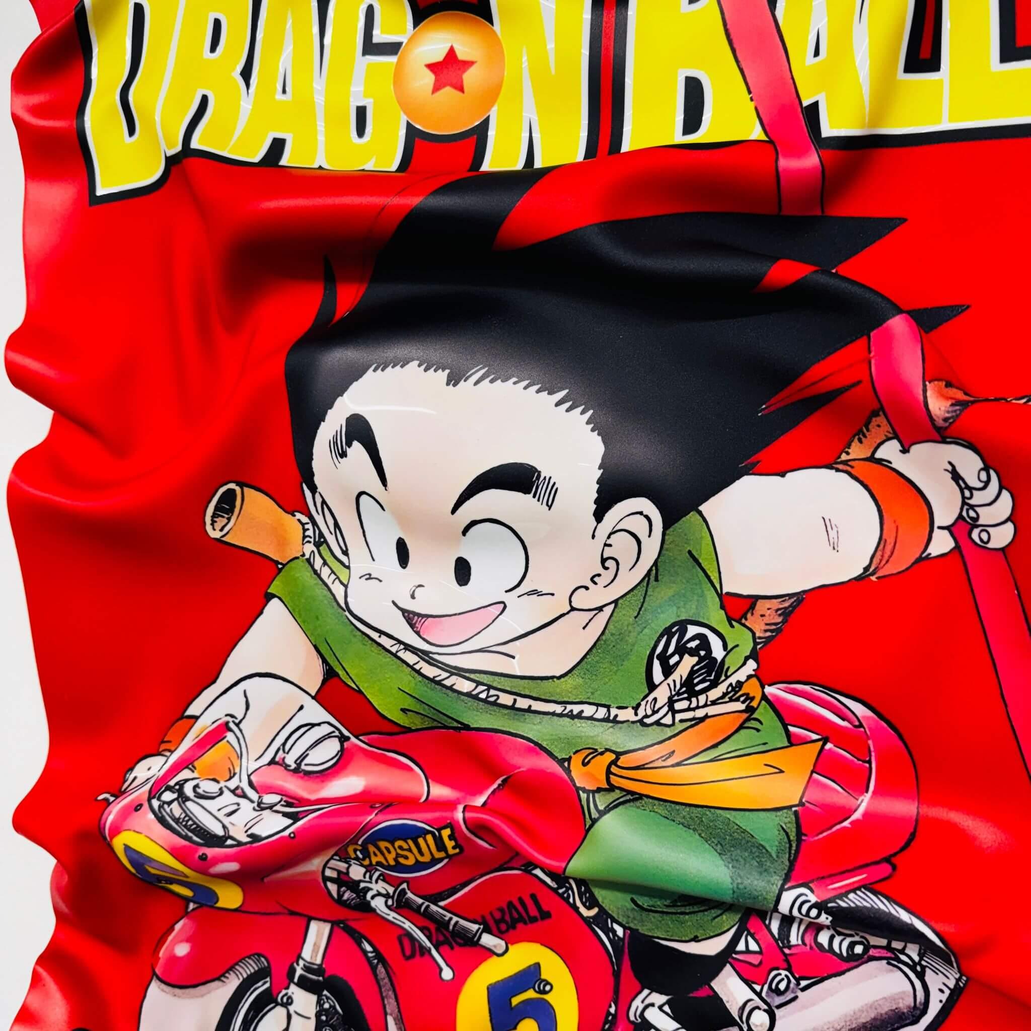 Tableau froissé – Dragon Ball "Goku sur Moto - Volume 5"