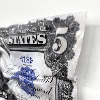 Tableau froissé - Billet de 5 Dollars Indien - Luxartis