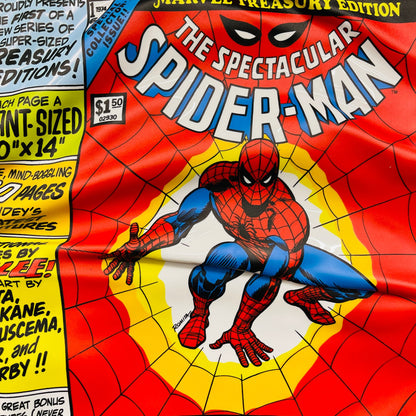 Tableau froissé - Spiderman Cover - Luxartis
