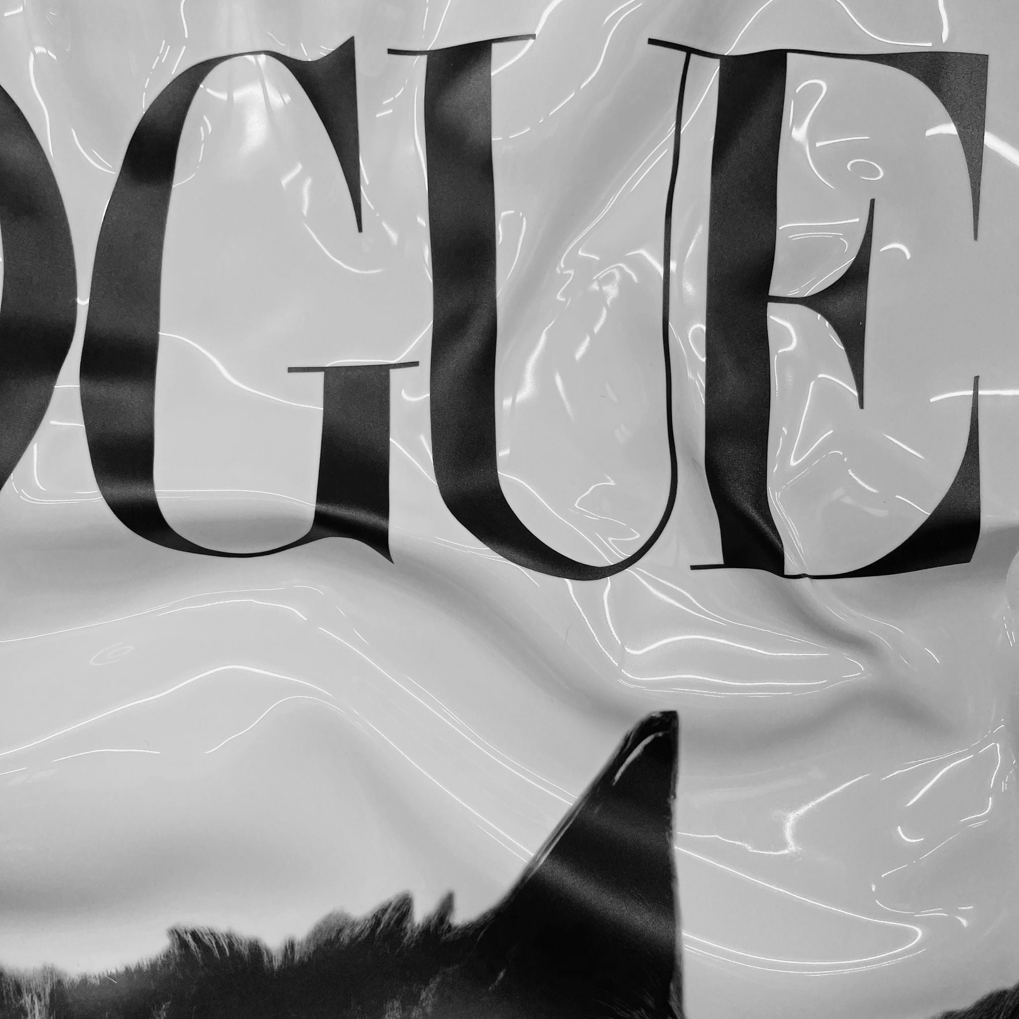 Tableau froissé - Vogue - Luxartis